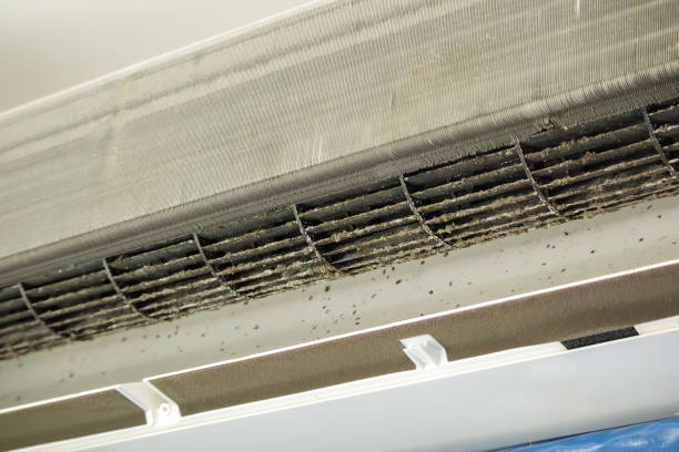 Best Ductwork Cleaning Services  in Wilkesboro, NC